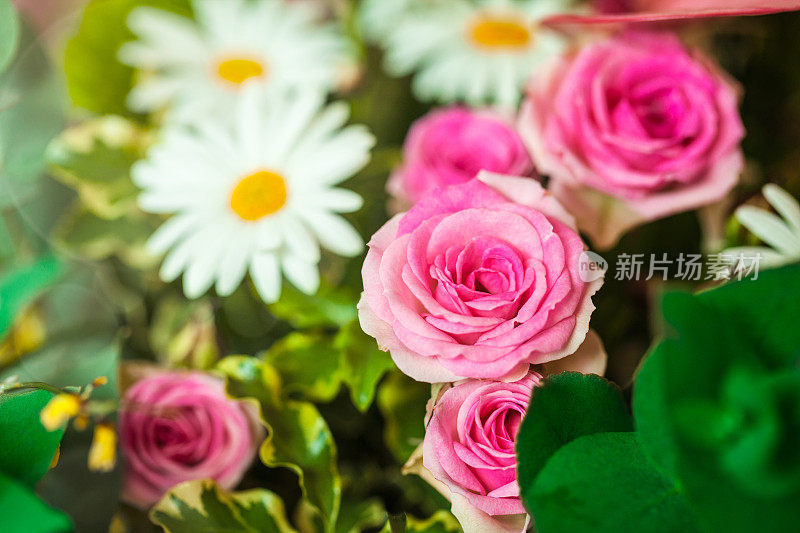 美丽的花束，粉红色的玫瑰和雏菊