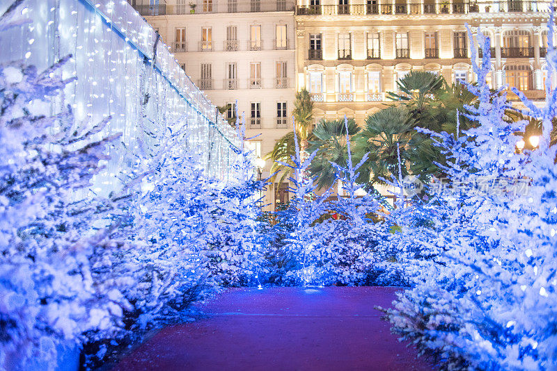 法国街头市场上的圣诞树