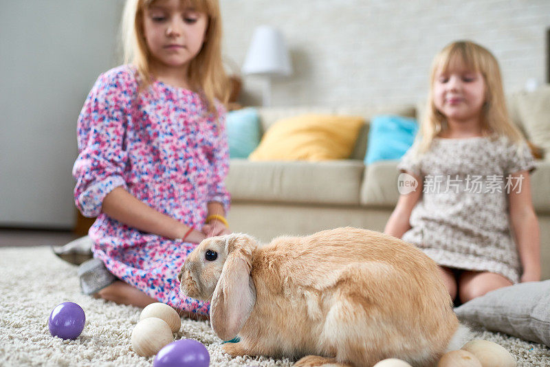 儿童和兔子