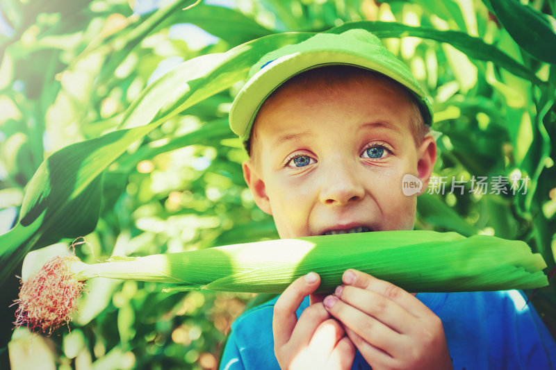 男孩正在吃玉米棒