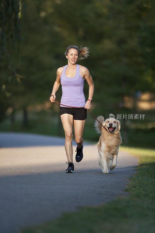 奔跑者和金毛寻回犬