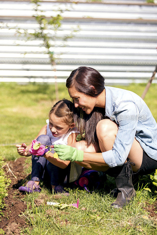 母亲和女儿一起在户外园艺和种植