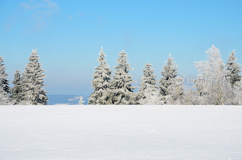 雪原后面的山顶上有结霜的树