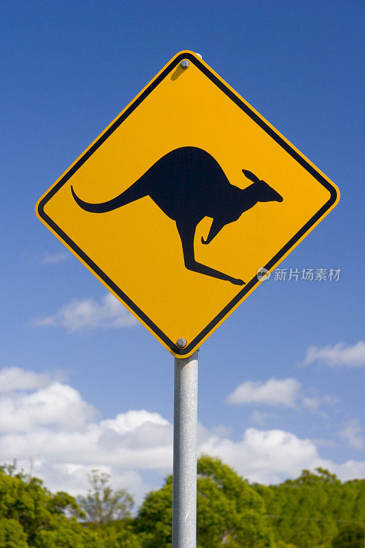 澳大利亚袋鼠标志