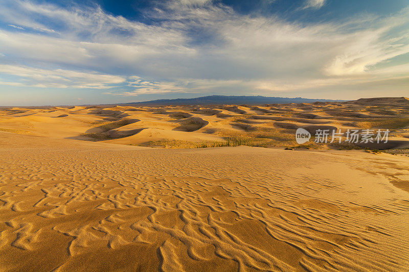 美丽的沙漠景观。戈壁沙漠。蒙古