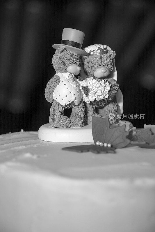 新娘和新郎婚礼礼帽