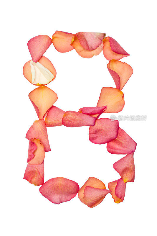 字母B由粉红色的玫瑰花瓣制成