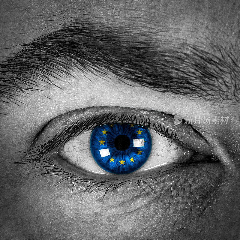 黑色和白色眼睛与欧盟旗帜虹膜