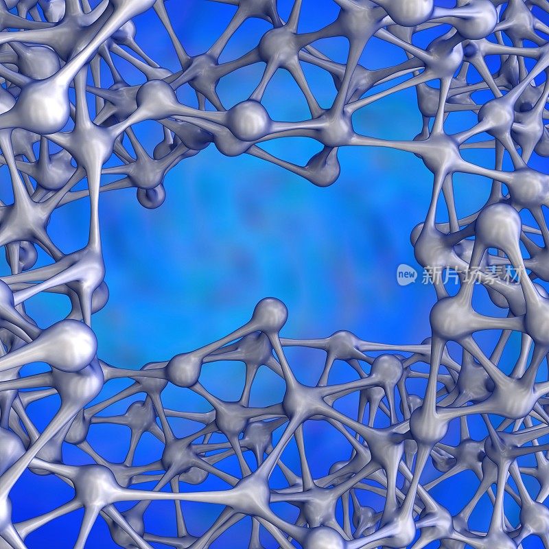 神经细胞的网络