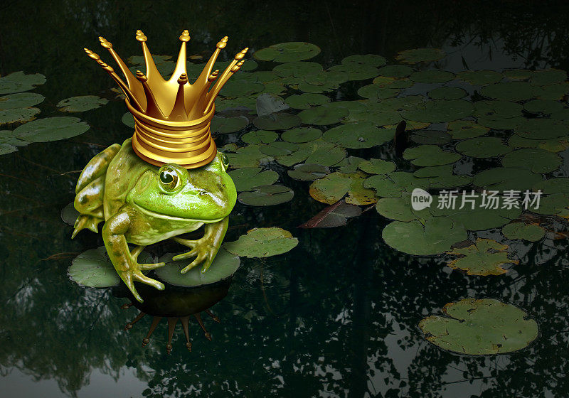 青蛙王子的概念
