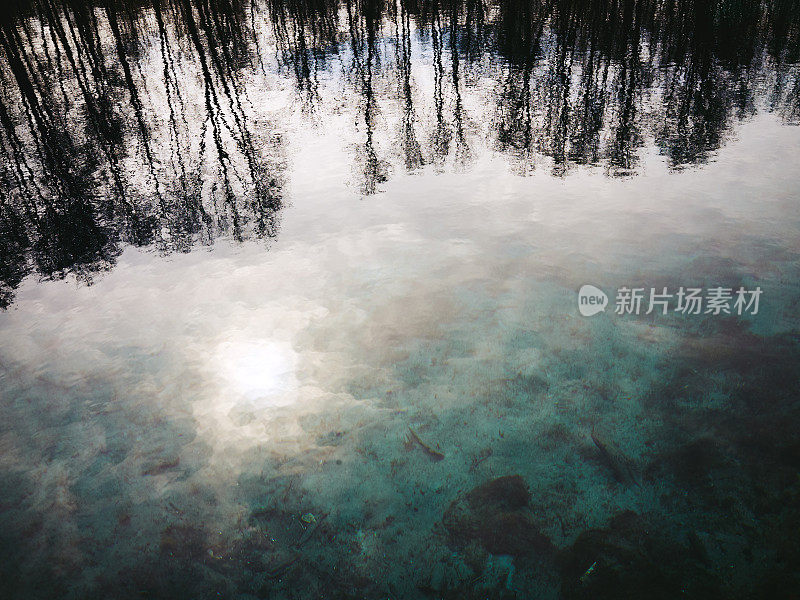 模糊的树木和阳光反射在湖面上透明清澈的蓝色水面