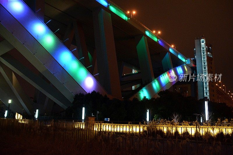 夜色中的卢浦大桥，中国上海