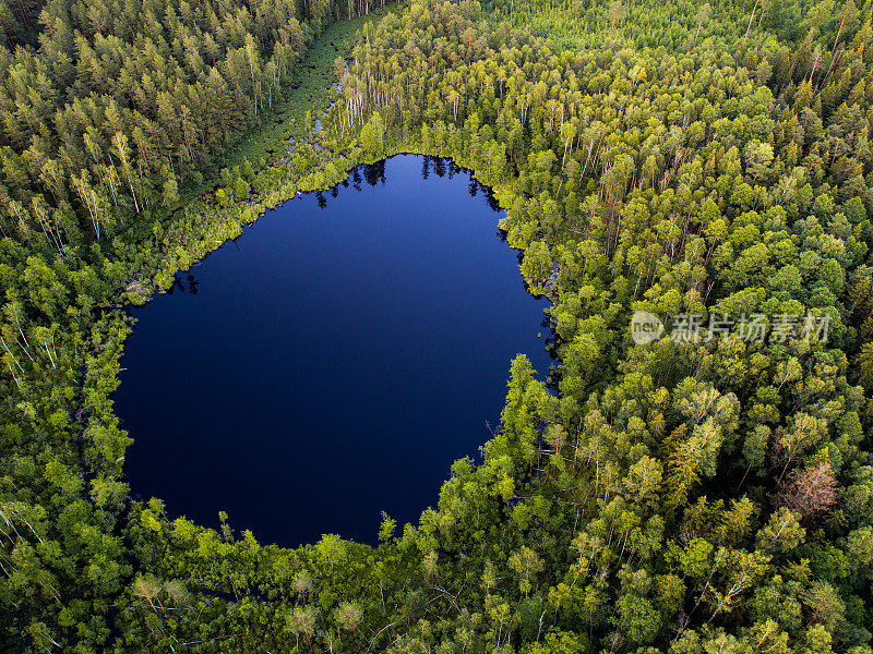 鸟瞰图。立陶宛的野生森林湖