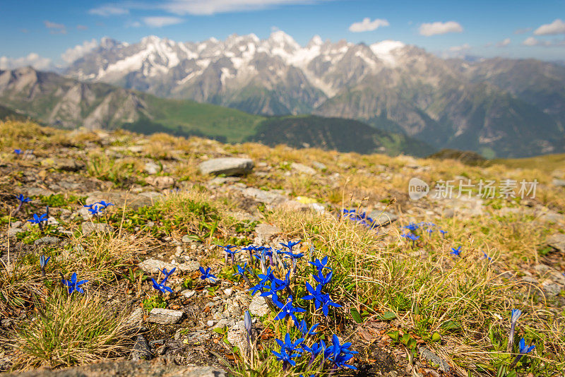 夏季徒步登山背景