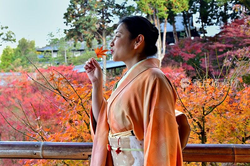 京都Tofuku-ji，穿着和服和秋叶的日本女人