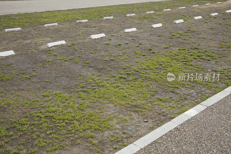飞机停车场的草地铺上了地毯