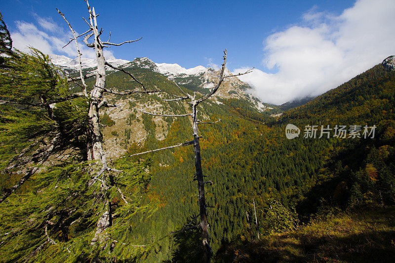 朱利安阿尔卑斯山