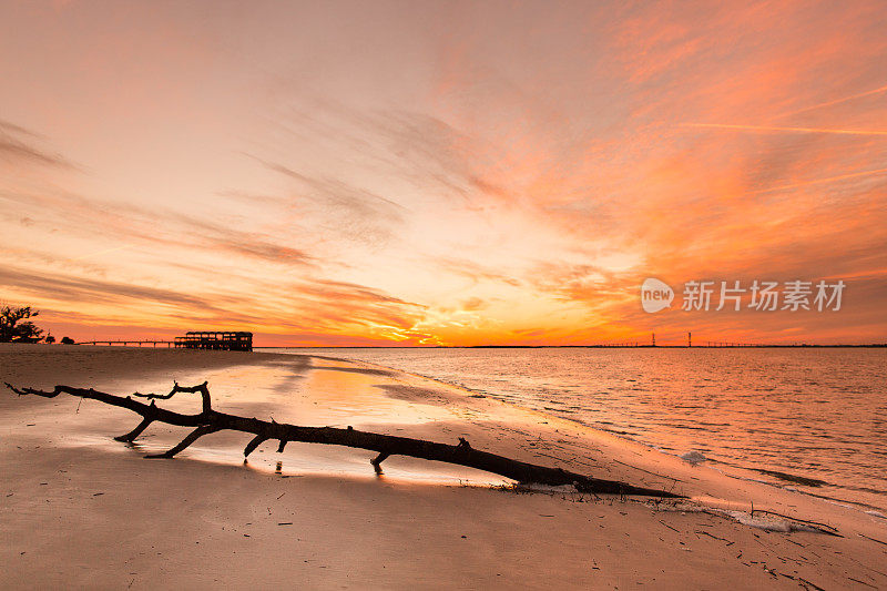 浮木海滩日落