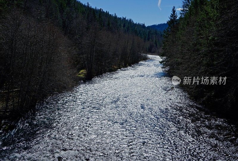 中间叉威拉米特河