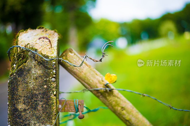 铁丝网和田地