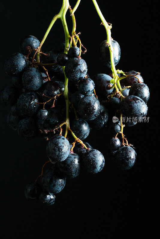 甜美的黑葡萄和水滴