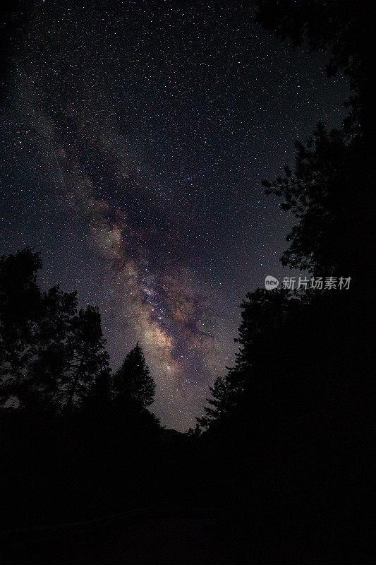 银河夜森林