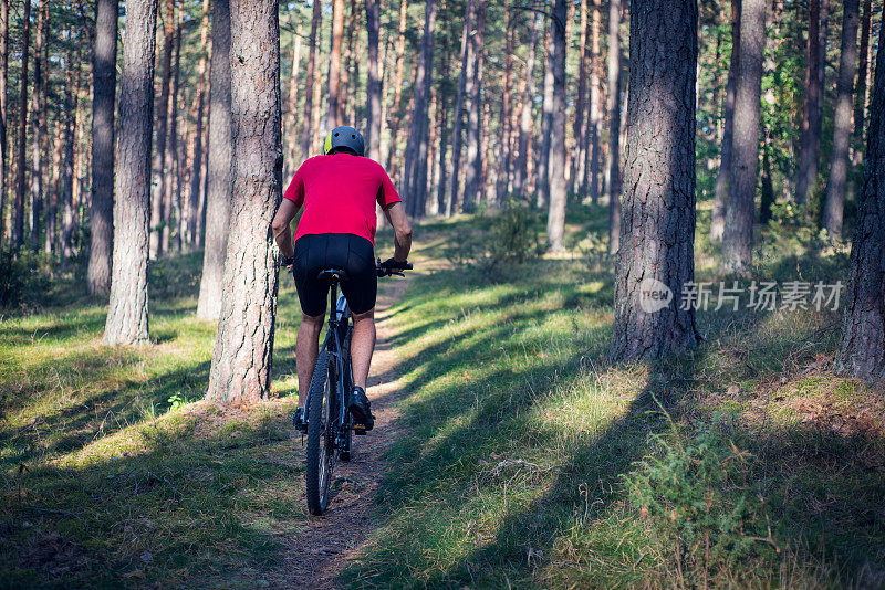 在森林中骑自行车