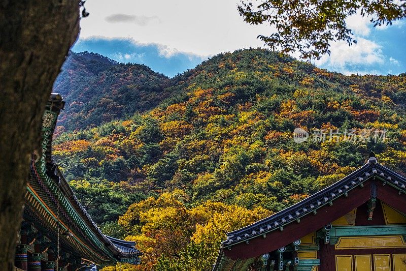 韩国Gabsa的秋景