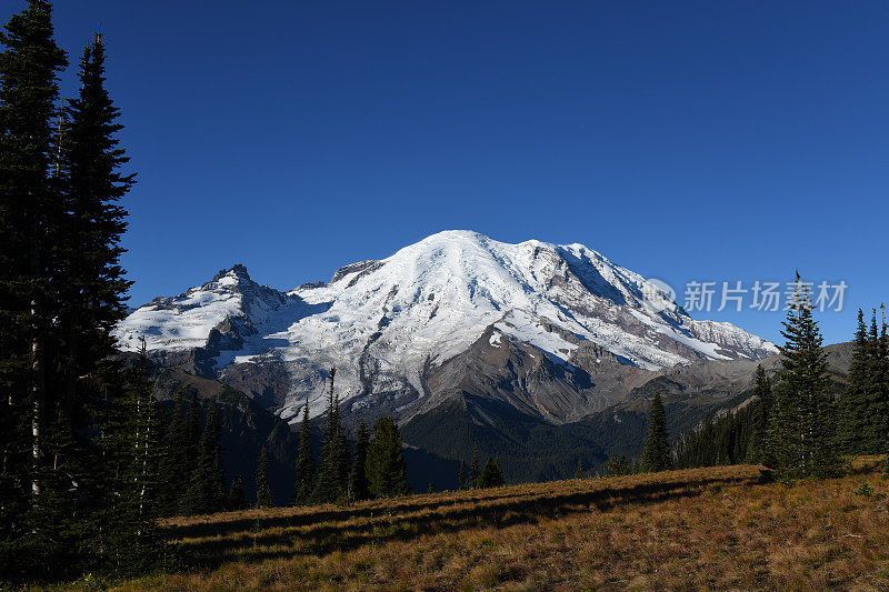 壮丽的雷尼尔火山