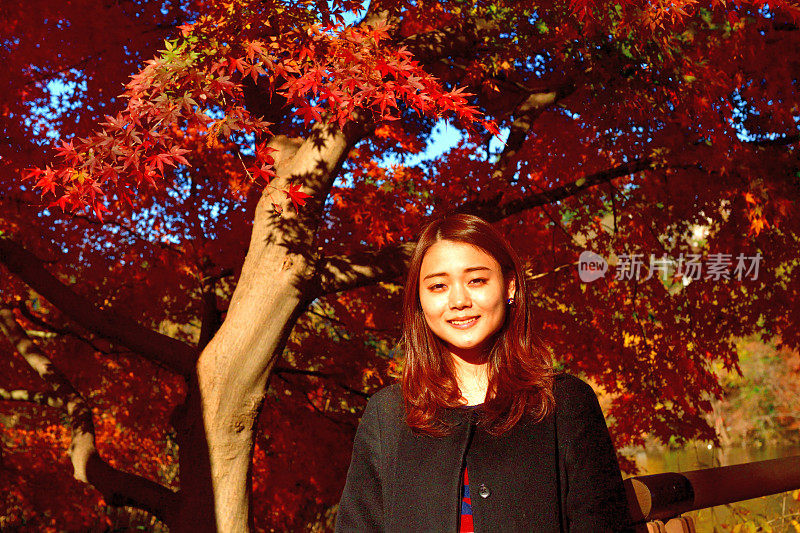 年轻的日本女人站在明亮的，红色的枫叶在井岛公园，东京