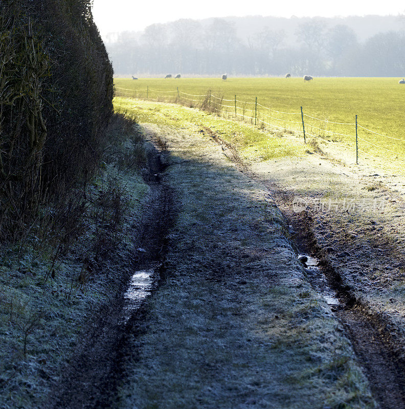 一条农场小路穿过牛津郡一片结霜的草地