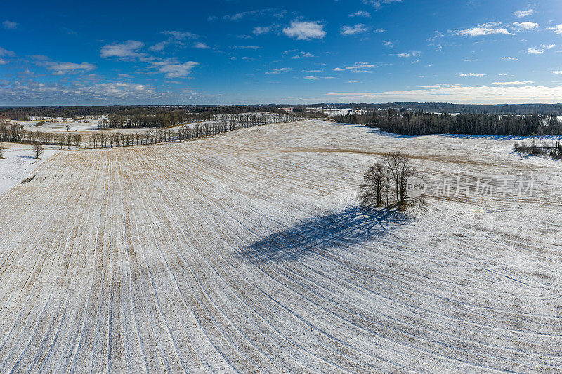 拉脱维亚维德泽姆地区的最后一场雪