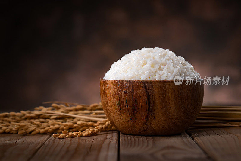 一碗米饭和水稻