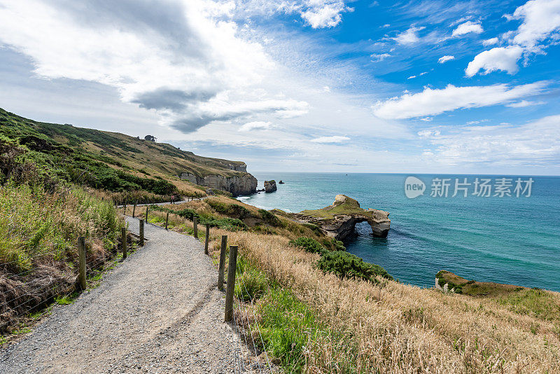 新西兰达尼丁南岛隧道海滩的路径。