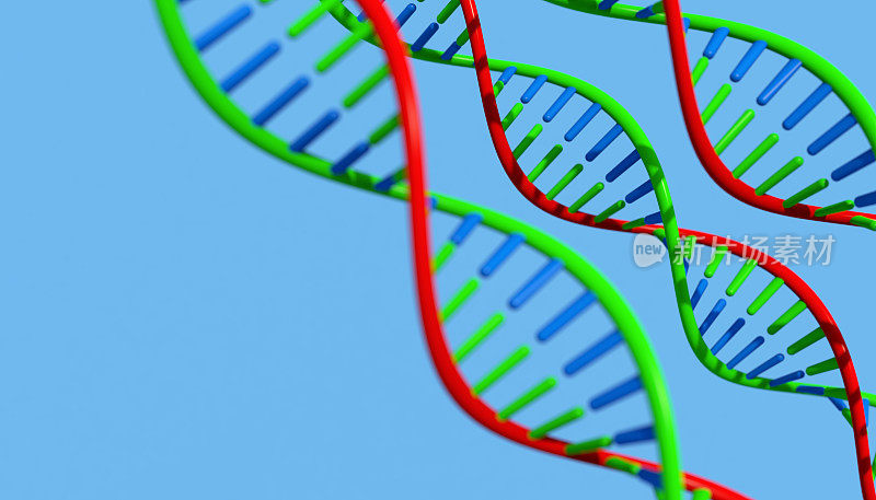 dna分子生物化学的概念