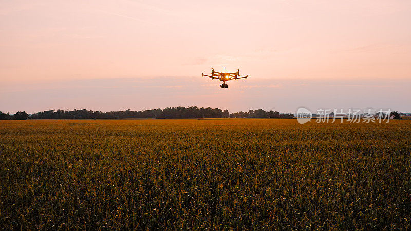 日落时分，无人机在田野上空飞行