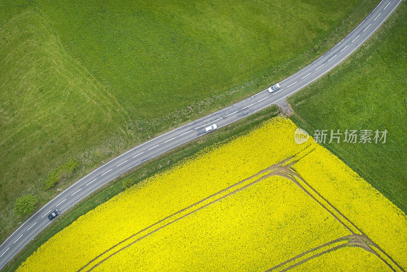 油菜田和乡村公路，农业区