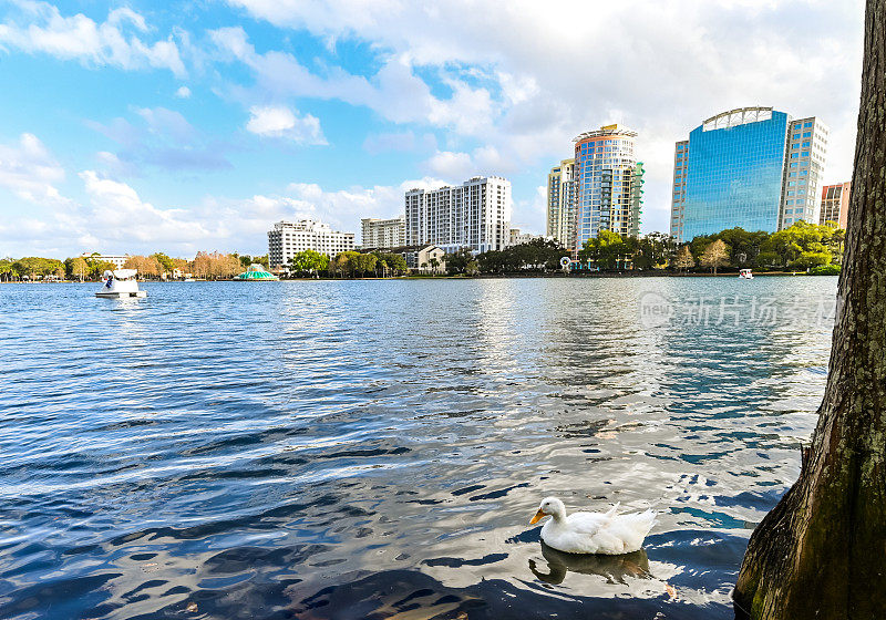 风景秀丽的湖Eola在佛罗里达州奥兰多市中心