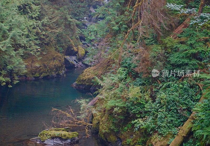 奥林匹克公园格雷夫斯河