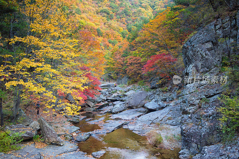 韩国秋景