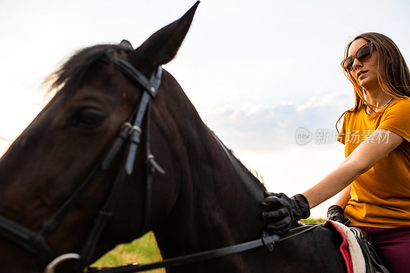 一个年轻的金发女人抚摸着一匹马