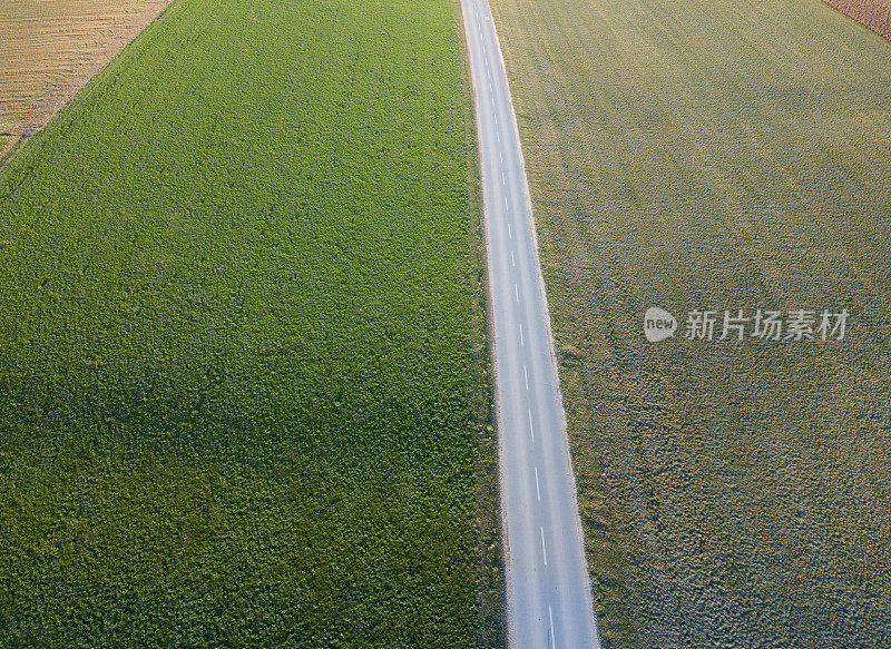 笔直的路，从上面看两边都是草