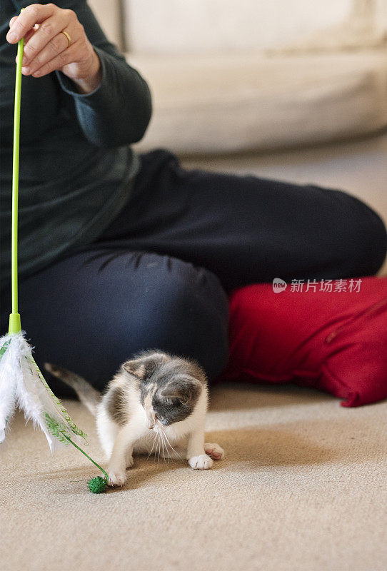 一个女人在家里和她新收养的小猫玩耍