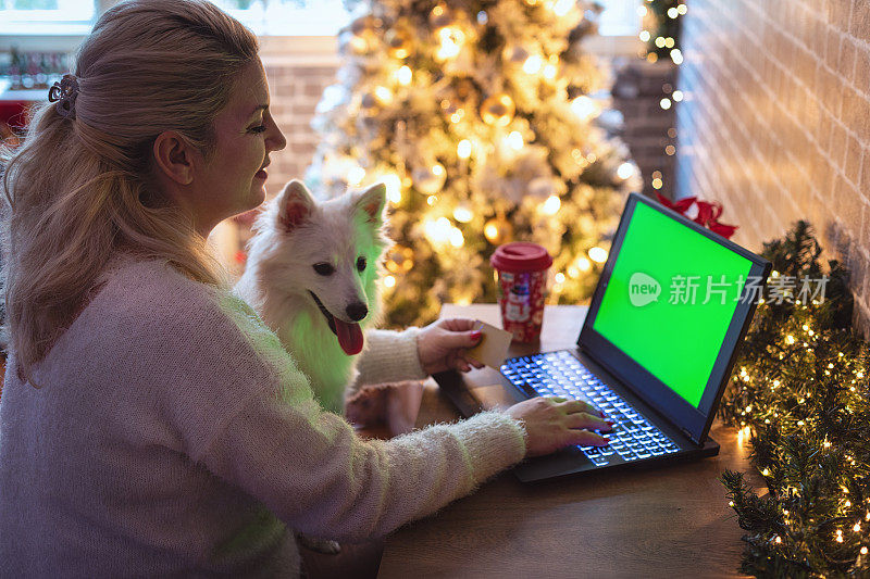 美丽的女人享受在家里在一个舒适的圣诞气氛，同时使用笔记本电脑网上购物。