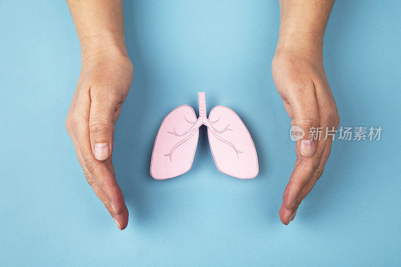 人的肺和手