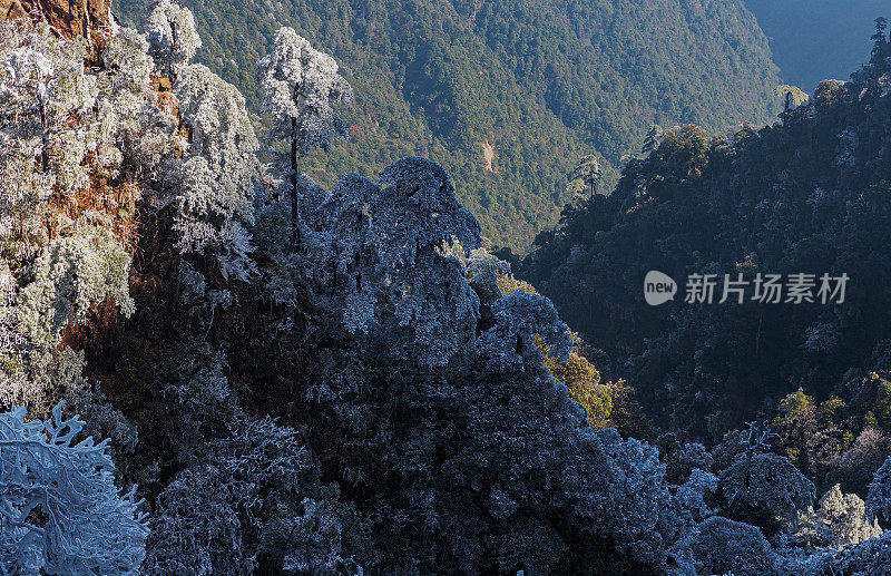 五指峰的雾凇