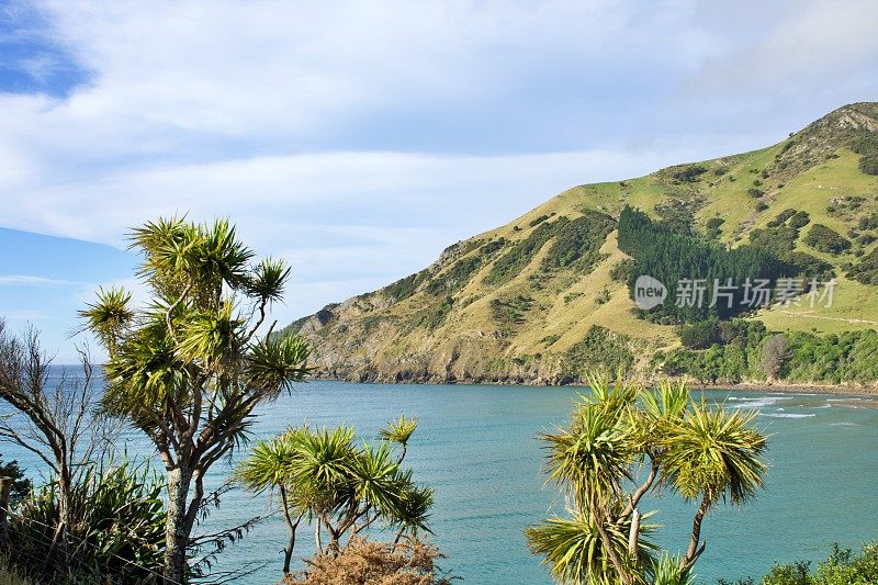 海景，电缆湾，纳尔逊，新西兰