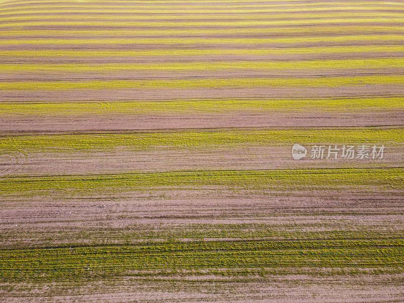 再生有机农场。用新耕作技术鸟瞰耕地。在援助项目中鼓励可持续农业发展和小型企业的欧洲赠款。农业贷款。