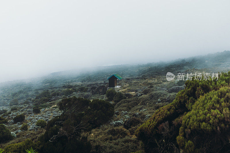 在乞力马扎罗山国家公园，可以看到美丽而引人注目的山景