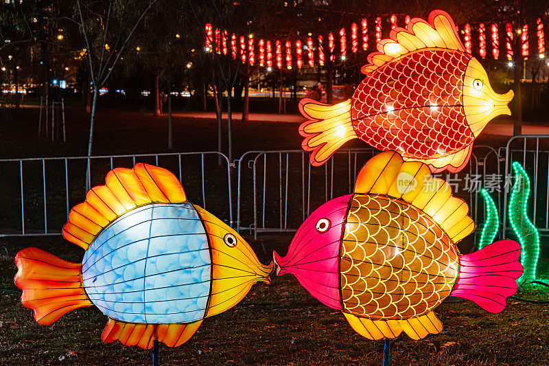 塞尔维亚诺维萨德的中国农历新年装饰品。中国元宵节的传统灯。中国的灯笼鱼